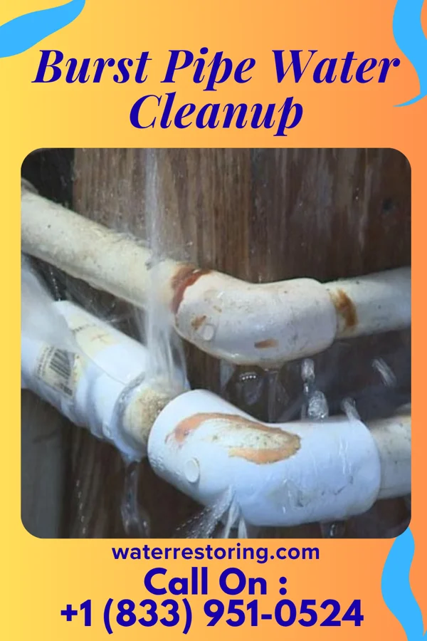 Burst Pipe Water Cleanup in Mansfield, OH