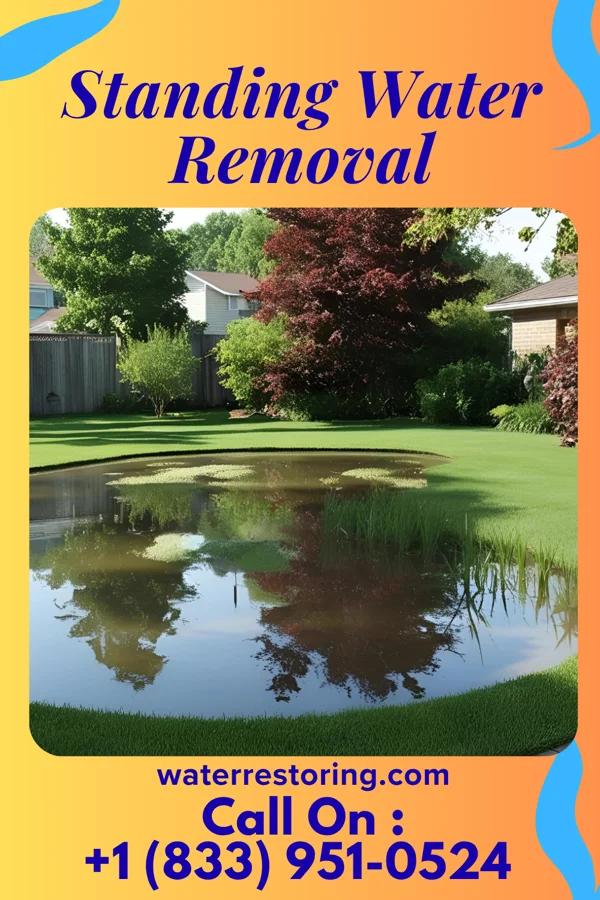 Standing Water Removal in Mansfield, OH